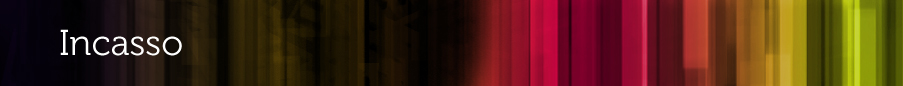 header creditDevice - incasso 